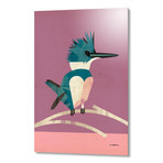 Kingfisher (16"W x 24"H x 1.5"D // Stretched Canvas)