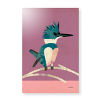 Kingfisher (16"W x 24"H x 1.5"D // Stretched Canvas)