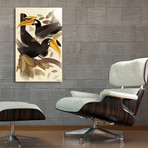 Hornbills (16"W x 24"H x 1.5"D // Stretched Canvas)