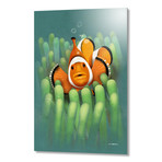 Clown Fish (16"W x 24"H x 1.5"D // Stretched Canvas)