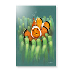 Clown Fish (16"W x 24"H x 1.5"D // Stretched Canvas)