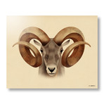 Bighorn (24"W x 16"H x 1.5"D // Stretched Canvas)