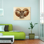 Bighorn (24"W x 16"H x 1.5"D // Stretched Canvas)