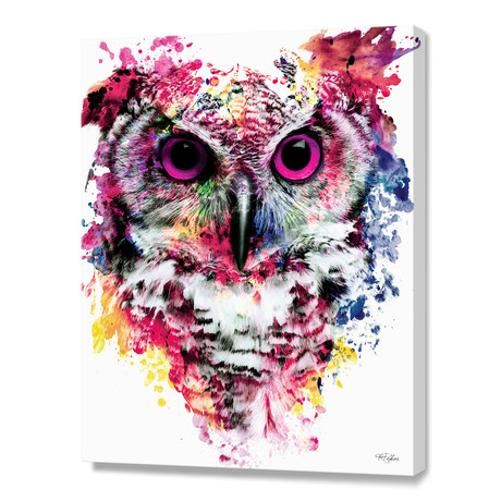 Owl (16"W x 20"H x 1.5"D // Stretched Canvas)