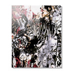 Zebra (16"W x 20"H x 1.5"D // Stretched Canvas)