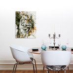 Tiger (16"W x 20"H x 1.5"D // Stretched Canvas)