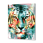 Tiger II (16"W x 20"H x 1.5"D // Stretched Canvas)