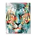 Tiger II (16"W x 20"H x 1.5"D // Stretched Canvas)