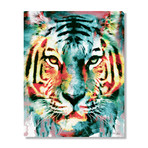 Tiger II (16"W x 20"H x 1.5"D // Stretched Canvas)