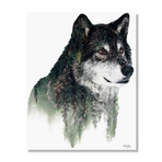 Wolf (16"W x 20"H x 1.5"D // Stretched Canvas)