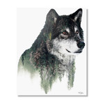 Wolf (16"W x 20"H x 1.5"D // Stretched Canvas)