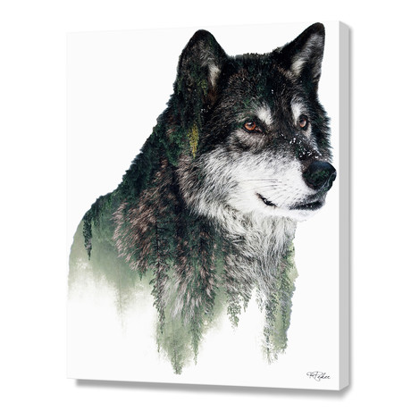 Wolf (16"W x 20"H x 1.5"D // Stretched Canvas)