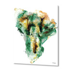 Wild Africa (16"W x 20"H x 1.5"D // Stretched Canvas)