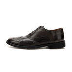 Lace-Up Dress Shoe // Brown (Euro: 39)