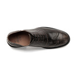 Lace-Up Dress Shoe // Brown (Euro: 42)