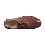 Perforated Lace-Up // Brown (Euro: 40)