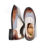 Classic Oxford Oxford // Brown + Pale Tan + Light Blue (Euro: 38)