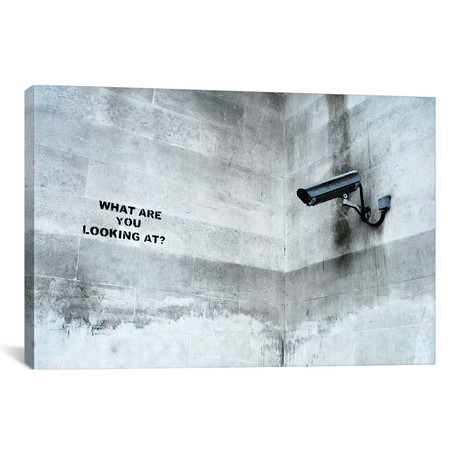 What Are You Looking At Security Camera (26"W x 18"H x 0.75"D)