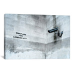 What Are You Looking At Security Camera (26"W x 18"H x 0.75"D)