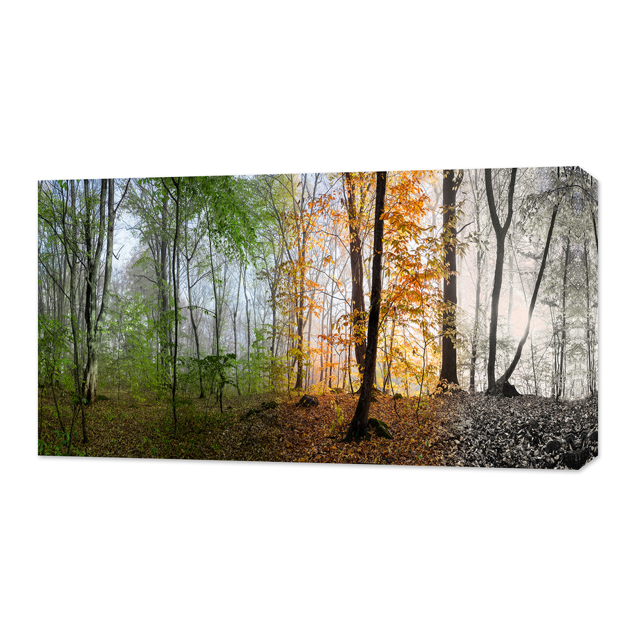 Panoramic Photography Nature Landscapes Touch of Modern