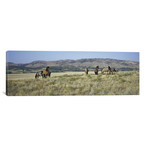 Wild Mustang Herd, Black Hills Wild Horse Sanctuary, Hot Springs, Fall River County, South Dakota, USA by Panoramic Images (60"W x 20"H x 0.75"D)