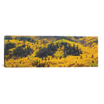 Autumn Landscape, Dolores County, Colorado (36"W x 12"H x 0.75"D)