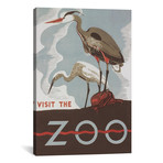 Visit The Zoo // Herons