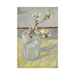 Sprig of Almond Blossoms