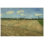 Plowed Fields