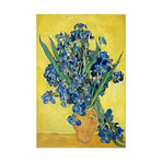 Irises in Vase