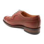 Miguel Two Wingtip Brogue // Tan (UK: 8)