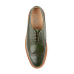 Siglo Wingtip Brogue // Green (UK: 8)