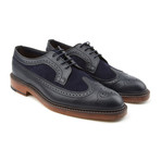 Siglo Suede Wingtip Brogue // Navy (UK: 7)