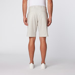 Chambray Micro Stripe Chino Short // Grey (32)