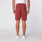 Boardwalker Short // Brick (30)