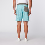 Printed Boardshort // Sea Foam (34)