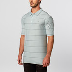 Micro Stripe Knit Polo // Sage (M)