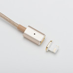 DISC // Cable + Emergency Adapter // Gold (Lightning Cable)
