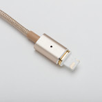 DISC // Cable + Emergency Adapter // Gold (Lightning Cable)