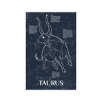 Taurus