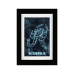 Scorpius