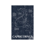 Capricorn