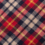 Fancy My Tickle Tie + Tie Clip // Multi Color