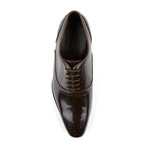 Brogue Medallion Toe Oxford // Brown (Euro: 39)