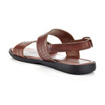 Maloney Croc Sling-Back // Brown (US: 8)