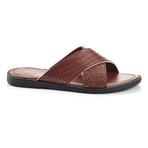 Milan Criss-Cross Slide // Brown (US: 10)