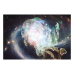 The Way Of All Flesh (20"W x 30"H x 2"D)