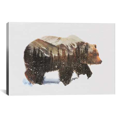 Arctic Grizzly Bear (18"W x 12"H x 0.75"D)