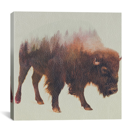 Bison I (12"W x 12"H x 0.75"D)