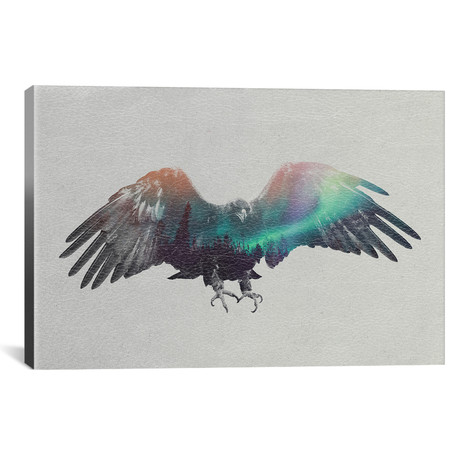 Eagle // Aurora Borealis Series (18"W x 12"H x 0.75"D)